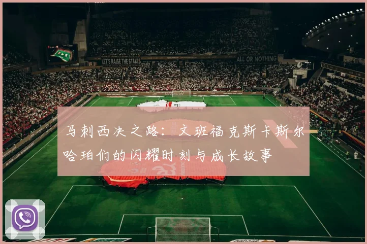 马刺西决之路：文班福克斯卡斯尔哈珀们的闪耀时刻与成长故事