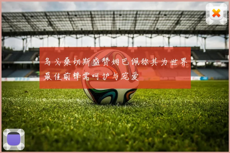 乌戈桑切斯盛赞姆巴佩称其为世界最佳前锋需呵护与宠爱