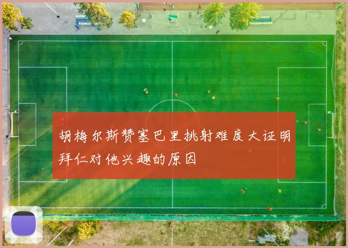胡梅尔斯赞塞巴里挑射难度大证明拜仁对他兴趣的原因